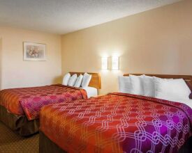 Econo Lodge Portland - I-205, фото 47 Econo Lodge Portland - I-205, фото 47