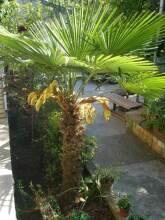 Apartment Rojnic - 3 Bedrooms Apartment, фото 20 Apartment Rojnic - 3 Bedrooms Apartment, фото 20