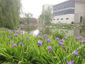 Beijing No.5 Area Residence, фото 20