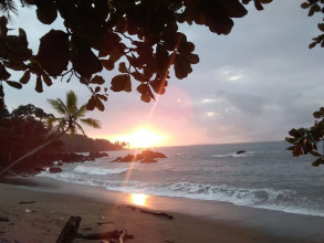 Cabinasyafethosa caletas, фото 21