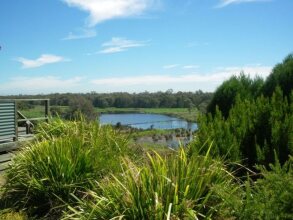 Frog Gully Cottages, фото 24