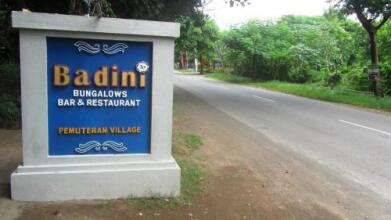 Badini Homestay, фото 12