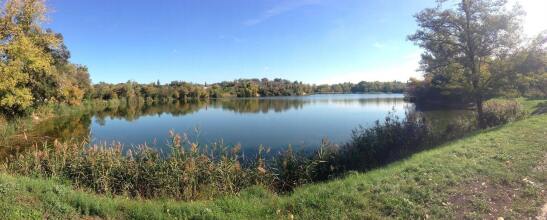 Druzhba hotel and restaurant, фото 31 Druzhba hotel and restaurant, фото 31