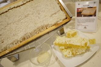 Hotel Gardenia, фото 39