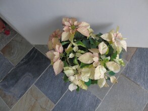 Hotel Margarita, фото 7 Hotel Margarita, фото 7