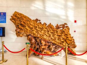 Beijing Huihao International Hotel, фото 18