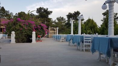 Silver Pine Hotel - All Inclusive, фото 14