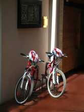 Grand Mega Resort And Spa, фото 31 Grand Mega Resort And Spa, фото 31