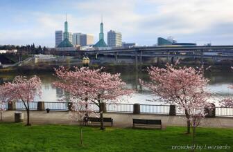 Courtyard By Marriott Portland Downtown/Convention Center, фото 25 Courtyard By Marriott Portland Downtown/Convention Center, фото 25