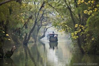 Banyan Tree, фото 35 Banyan Tree, фото 35