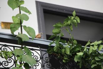 Les Jardins De Riad Laarouss, фото 6 Les Jardins De Riad Laarouss, фото 6