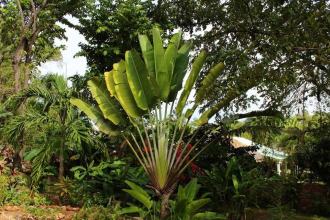 House With 3 Bedrooms in Las Galeras, With Wonderful sea View, Enclosed Garden and Wifi - 200 m From the Beach