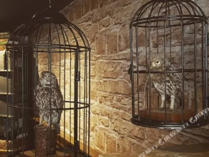 The Enchantment Chamber, фото 20