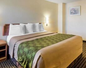 Econo Lodge Portland - I-205, фото 25 Econo Lodge Portland - I-205, фото 25