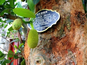 Yuehaizhuang Inn, фото 6