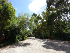 Cobden Crest Cottages, фото 12