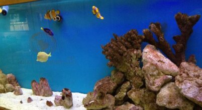 Hotel Panamericano, фото 46 Hotel Panamericano, фото 46