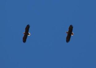 Reykholar HI Hostel, фото 18 Reykholar HI Hostel, фото 18