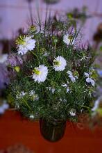 Day & Night, фото 22 Day & Night, фото 22