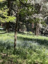 Lochiel Luxury Accommodation, фото 23 Lochiel Luxury Accommodation, фото 23