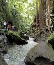 Legong Dormitory Backpacker Ubud, фото 48