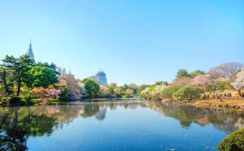 Bougainvillea Itabashi, фото 20