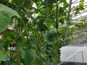 Liudu Bridge Inn, фото 2 Liudu Bridge Inn, фото 2