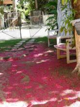 Pousada 100 Passos, фото 15