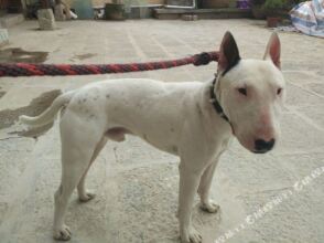 Fanxi Boutique Inn, фото 11