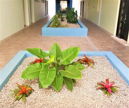 New Kingston Luxury Apt The Bromptons, фото 5 New Kingston Luxury Apt The Bromptons, фото 5