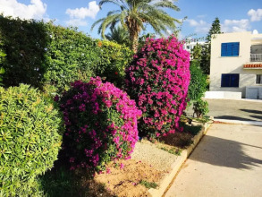 Apartment in Kato Paphos, фото 8 Apartment in Kato Paphos, фото 8