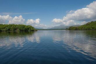 Parkview Guest House, фото 13