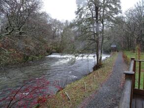 Shemore On Loch Lomond, фото 7