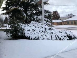 Highlands Motor Inn, фото 15