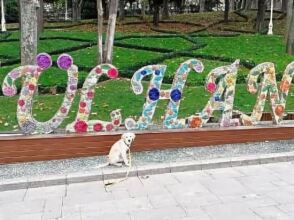 Agora Guesthouse And Hostel, фото 19