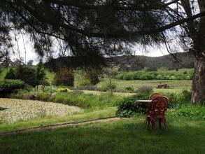 Ophir Gold Bed & Breakfast, фото 8
