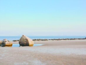 Fliport Garden, фото 35