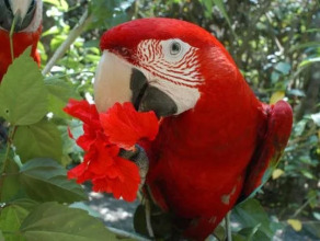 Jinete De Osa, фото 13 Jinete De Osa, фото 13