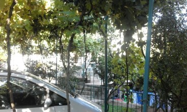 Apartments Jovana, фото 29