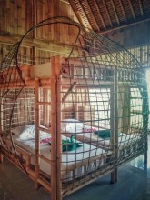 Luxury Bamboo Hostel, фото 7