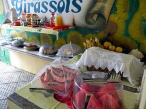 Pousada Recanto Dos Girassóis, фото 8