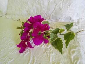 Green Castle Estate, фото 10