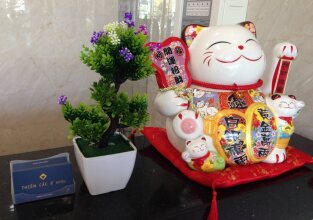 Thiên Các 2, фото 21