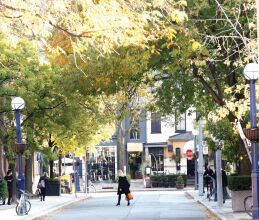 Amazing Suites In Yorkville, фото 48