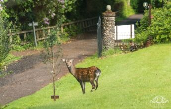 Foyers House Hotel, фото 10 Foyers House Hotel, фото 10