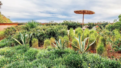 Dar Sayang, фото 9 Dar Sayang, фото 9