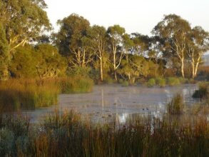 Frog Gully Cottages, фото 11