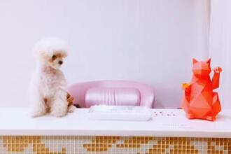 Fushengtang Inn, фото 24 Fushengtang Inn, фото 24