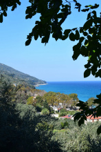 Isabel Artemis, фото 16