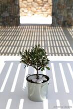 Casa Del Mar Mykonos Seaside Resort, фото 7